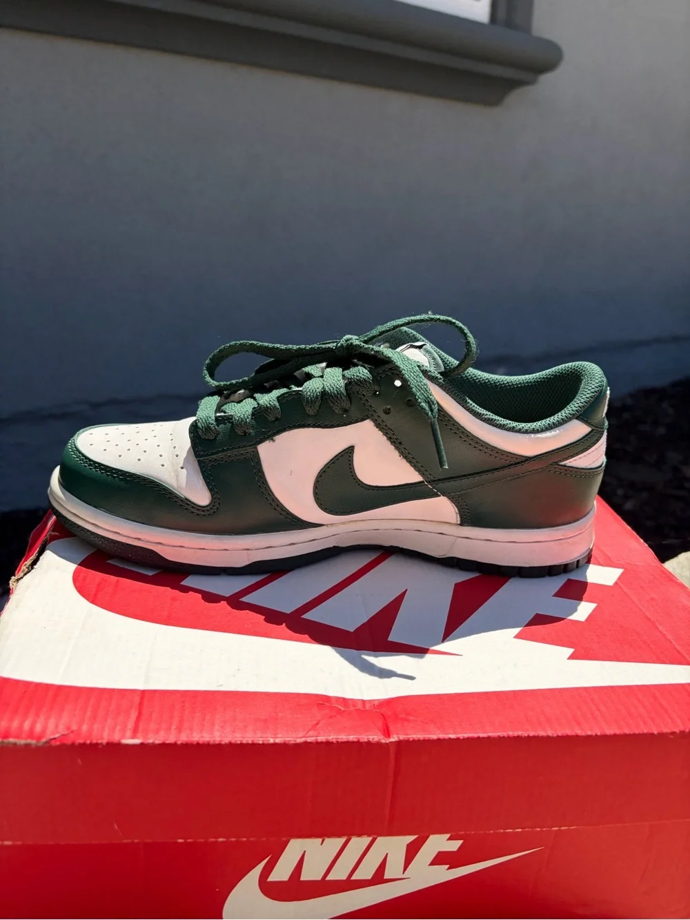 Nike kids Dark Green and White Low-Top Dunks